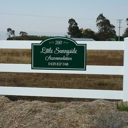 Little Sunnyside Accommodation Hagley Εξωτερικό φωτογραφία